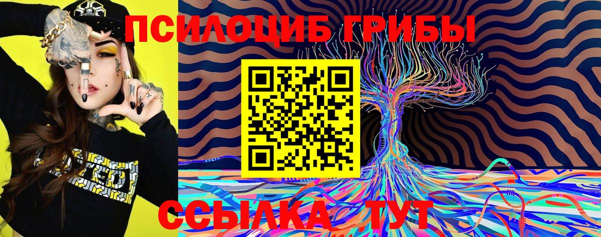 Кыштым  Галлюциногенные грибы Magic Shrooms  Вход с VPN 