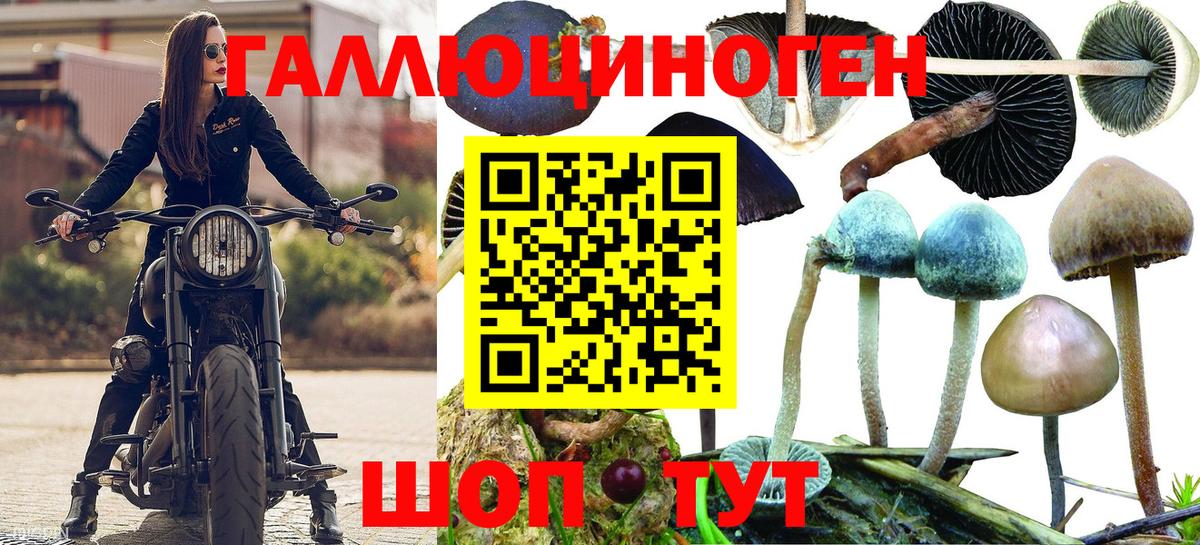 Галлюциногенные грибы GOLDEN TEACHER Кыштым